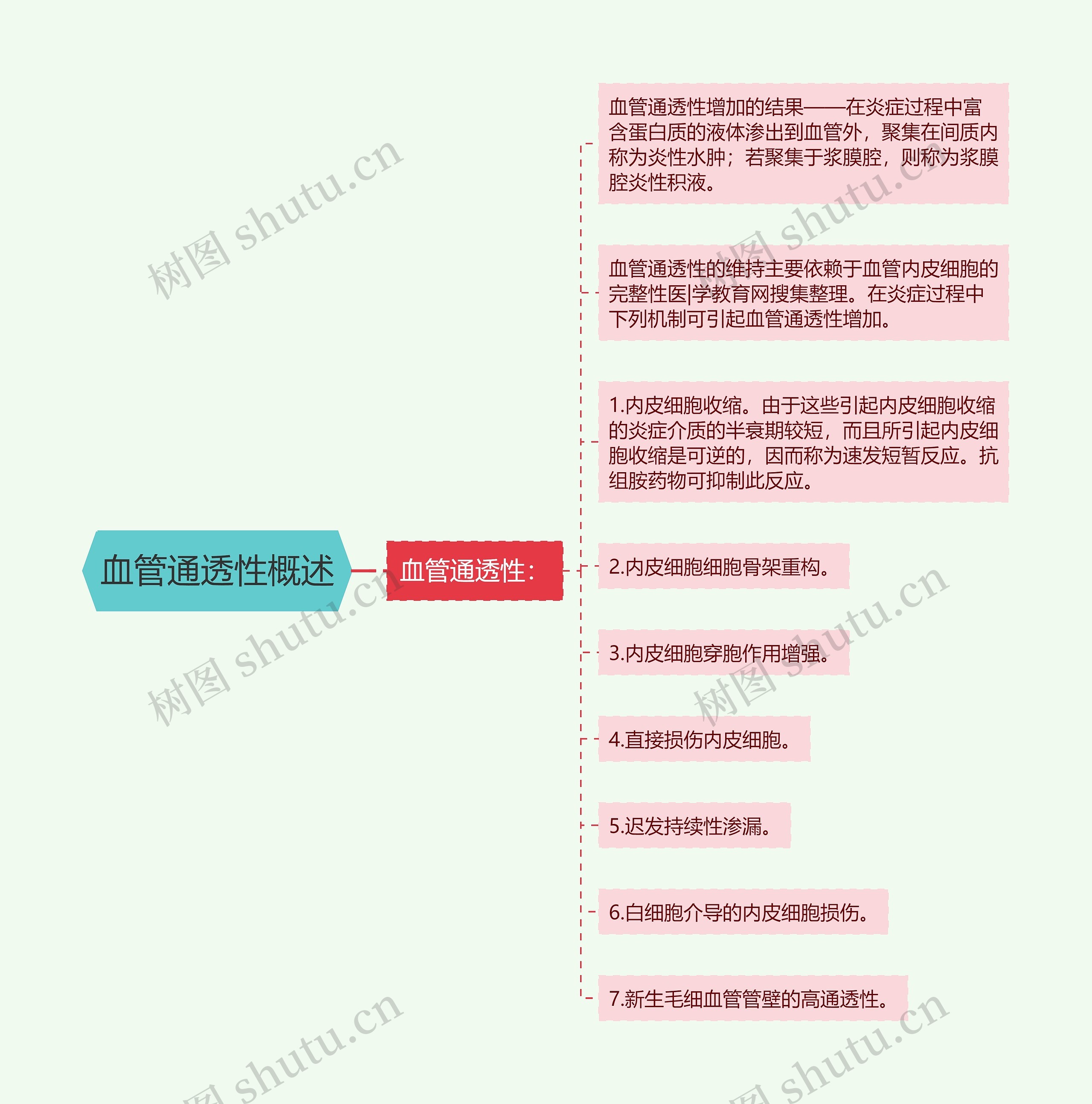 血管通透性概述思维导图