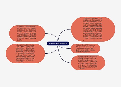 光面内质网的功能多样性