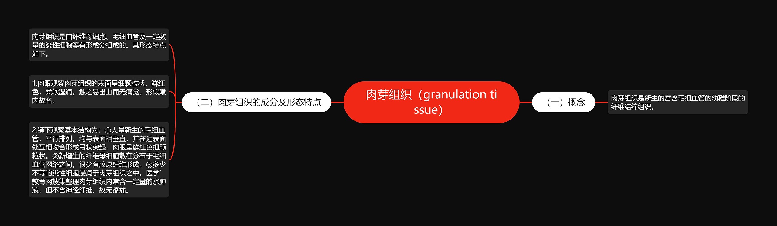 肉芽组织(granulation tissue) 肉芽组织(granulation tissue)