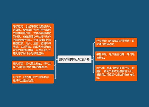 肺通气的原动力简介