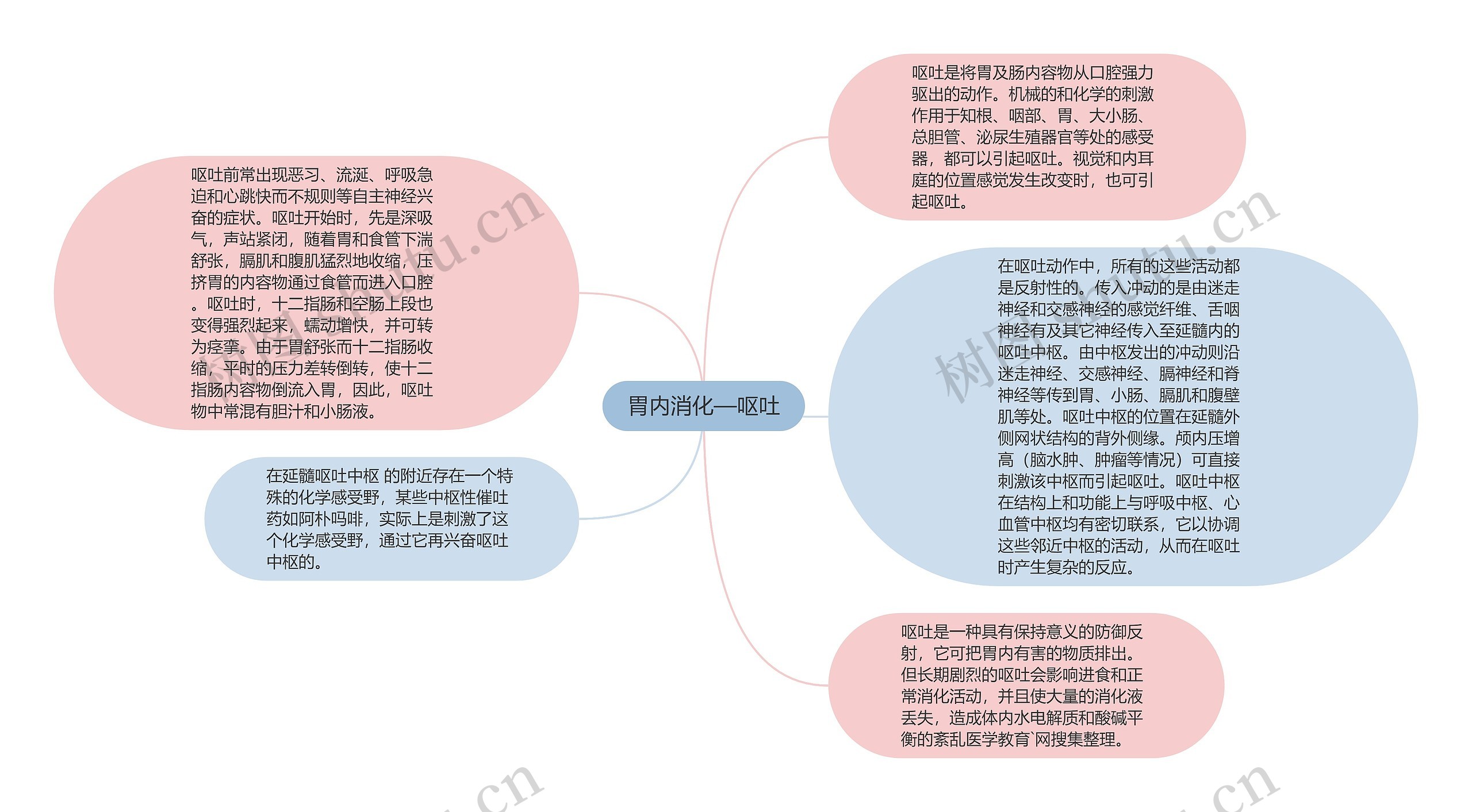 胃内消化—呕吐思维导图