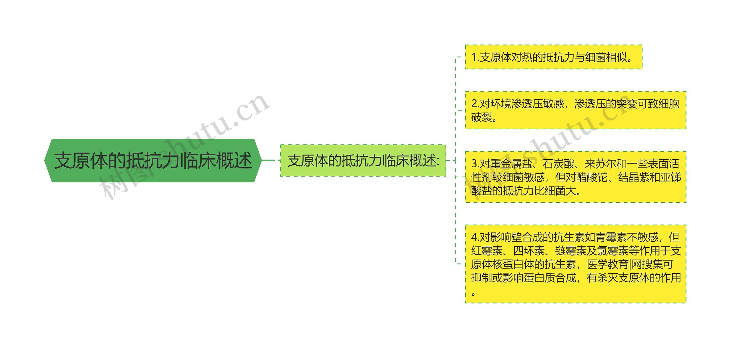 支原体的抵抗力临床概述 支原体的抵抗力临床概述