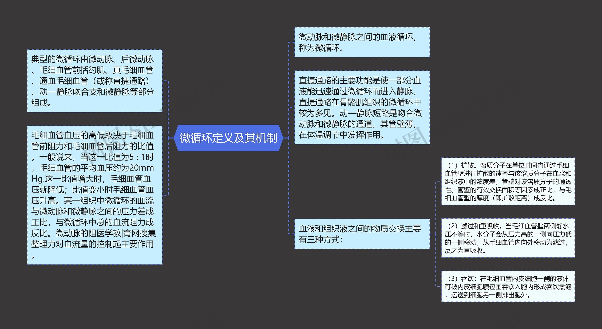 微循环定义及其机制