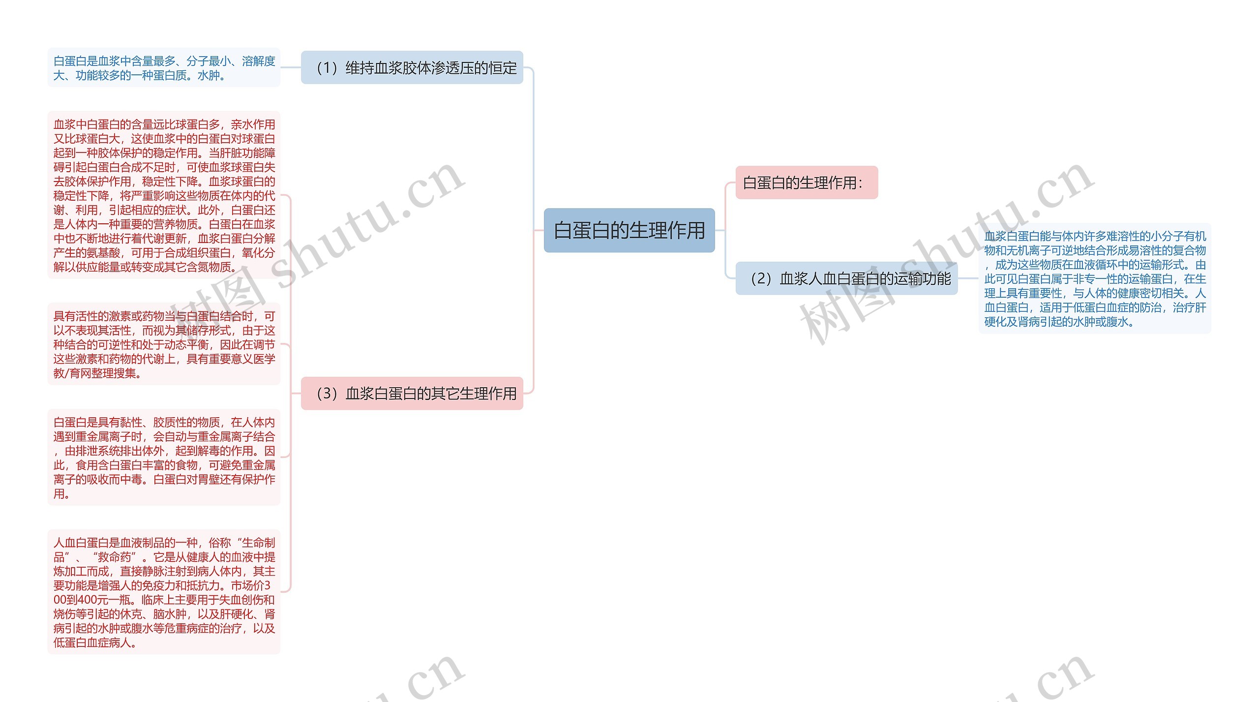 白蛋白的生理作用思维导图