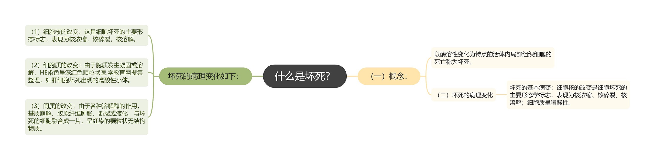 什么是坏死？思维导图