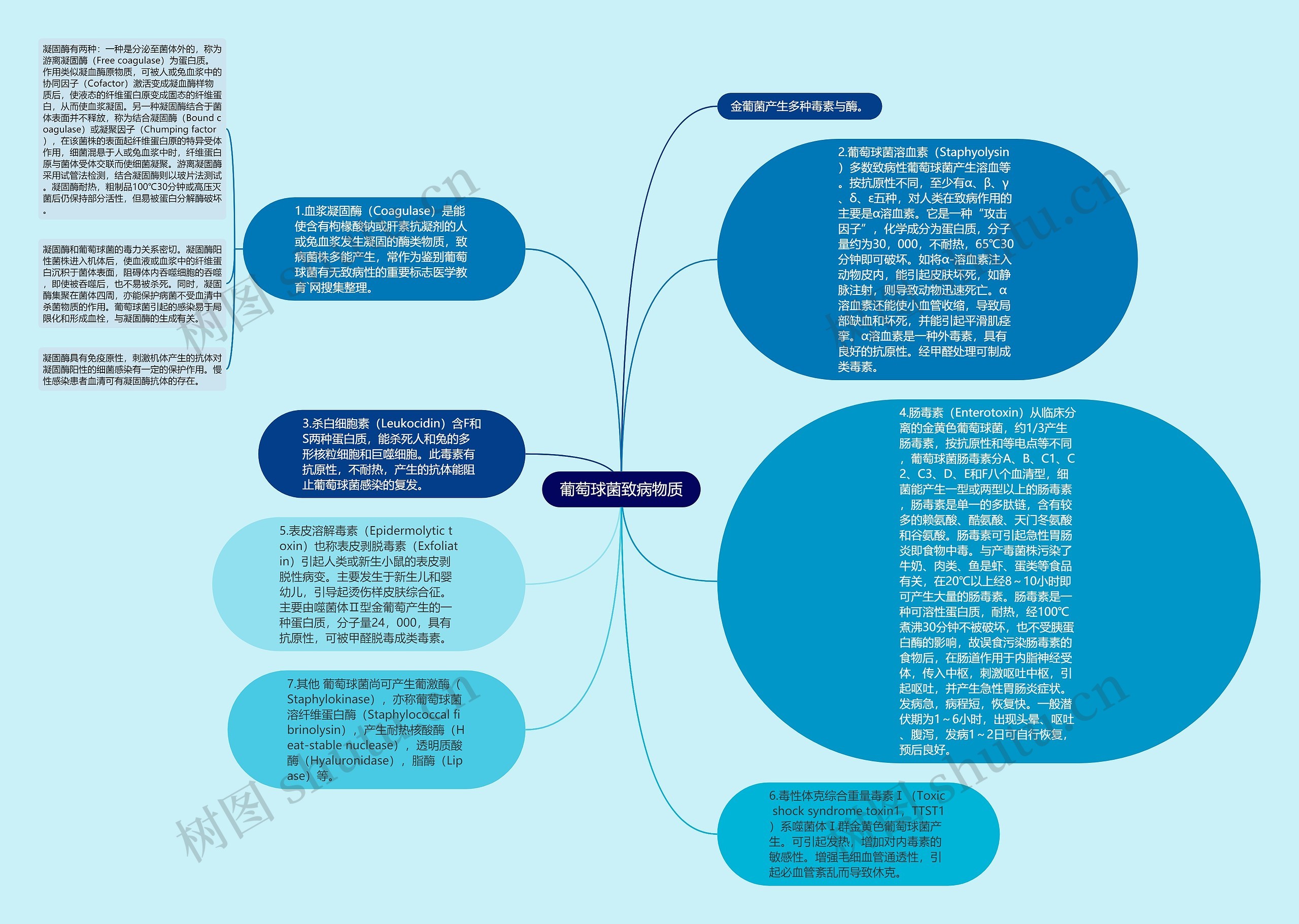 葡萄球菌致病物质思维导图