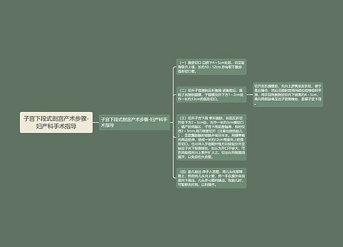 子宫下段式剖宫产术步骤-妇产科手术指导