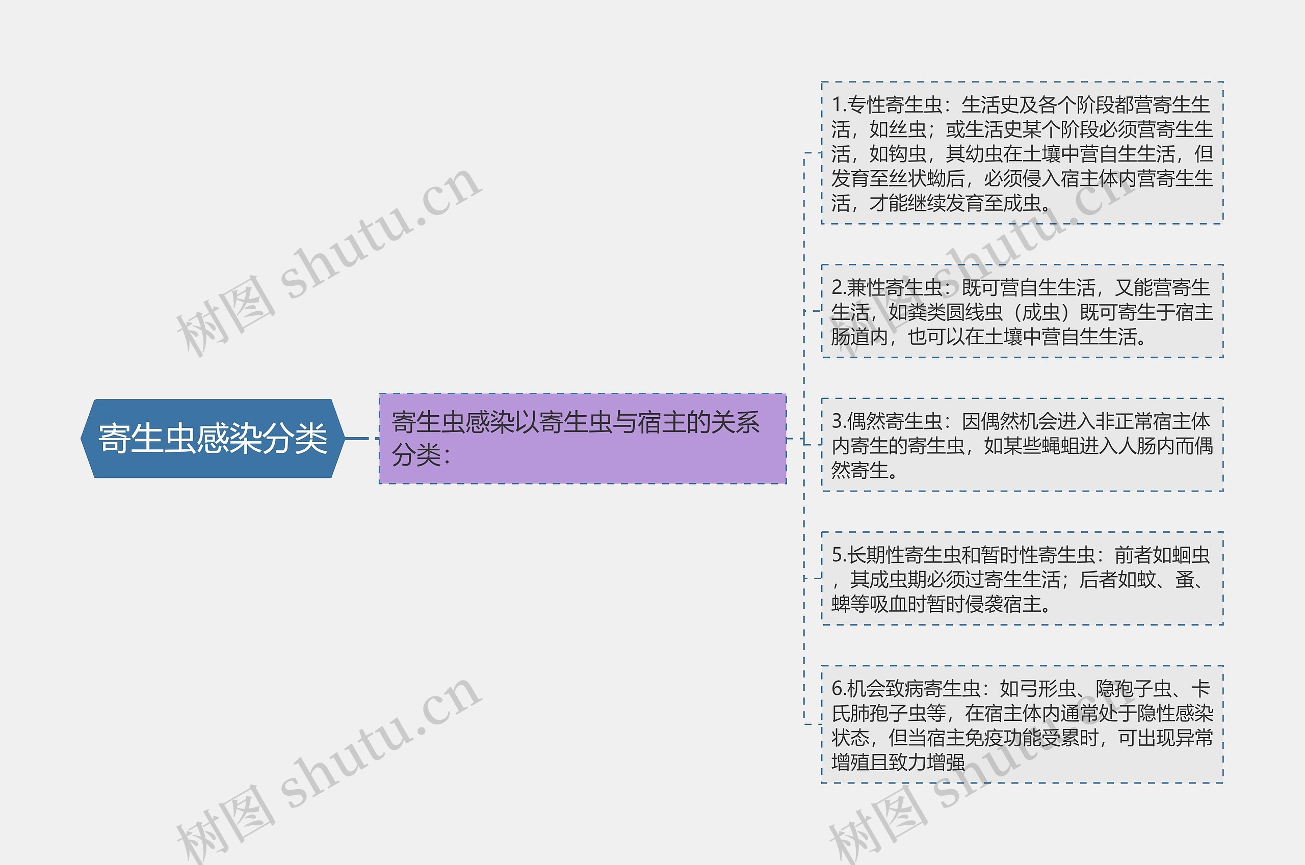 寄生虫感染分类思维导图