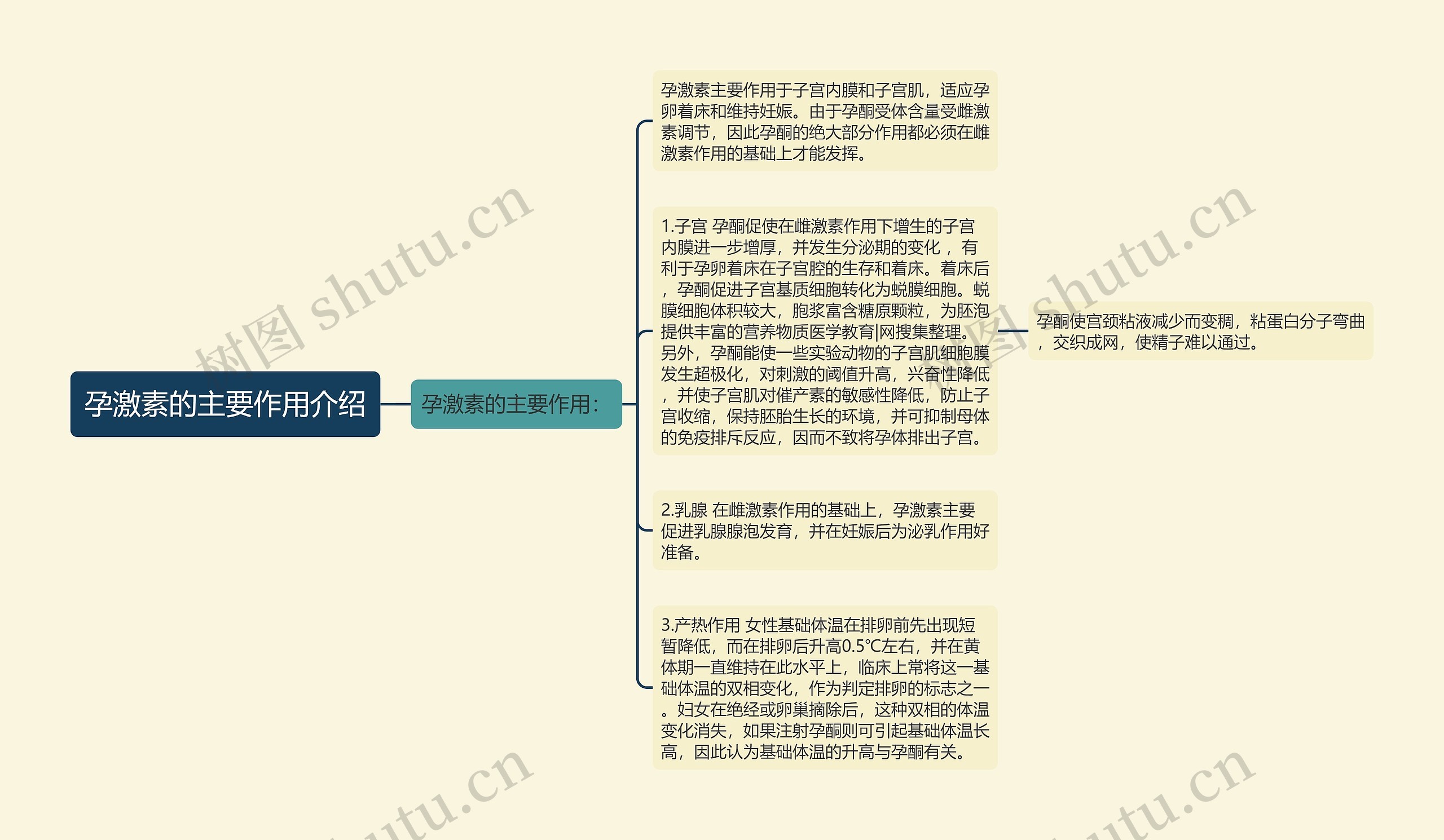 孕激素的主要作用介绍