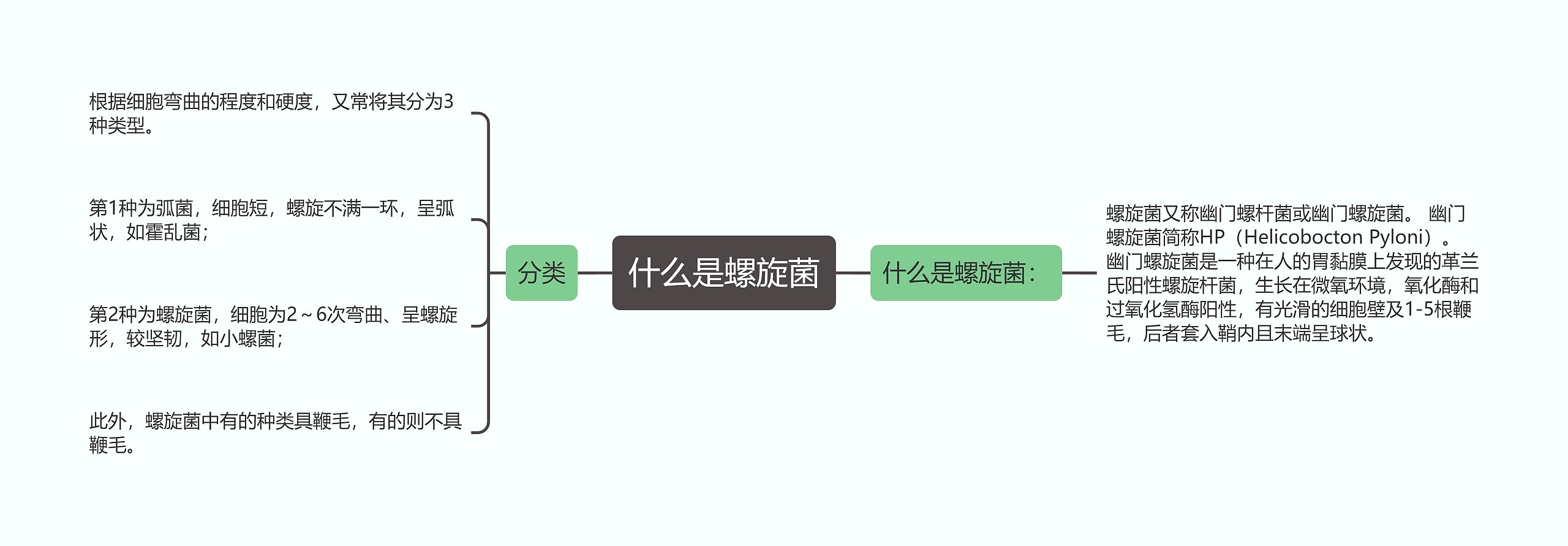 什么是螺旋菌思维导图