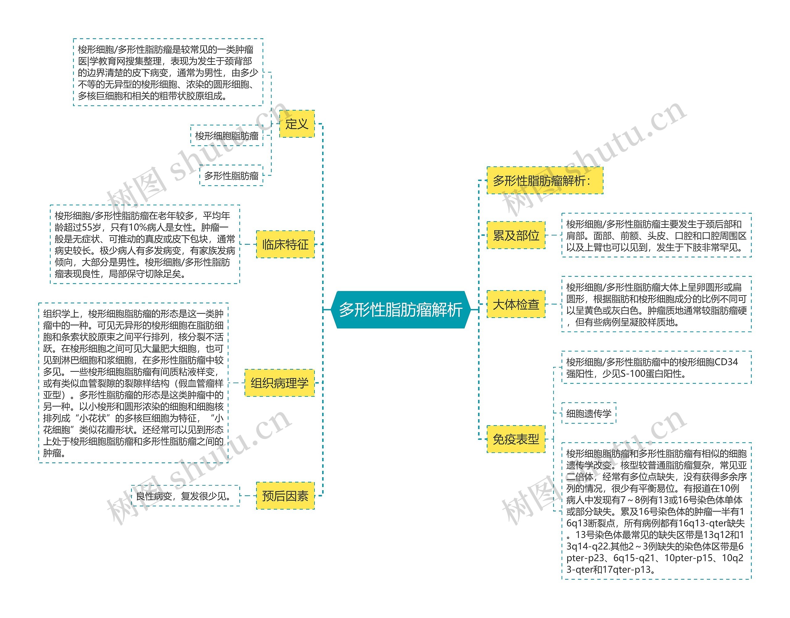 多形性脂肪瘤解析思维导图