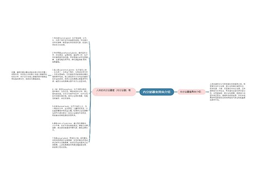 内分泌器官具体介绍