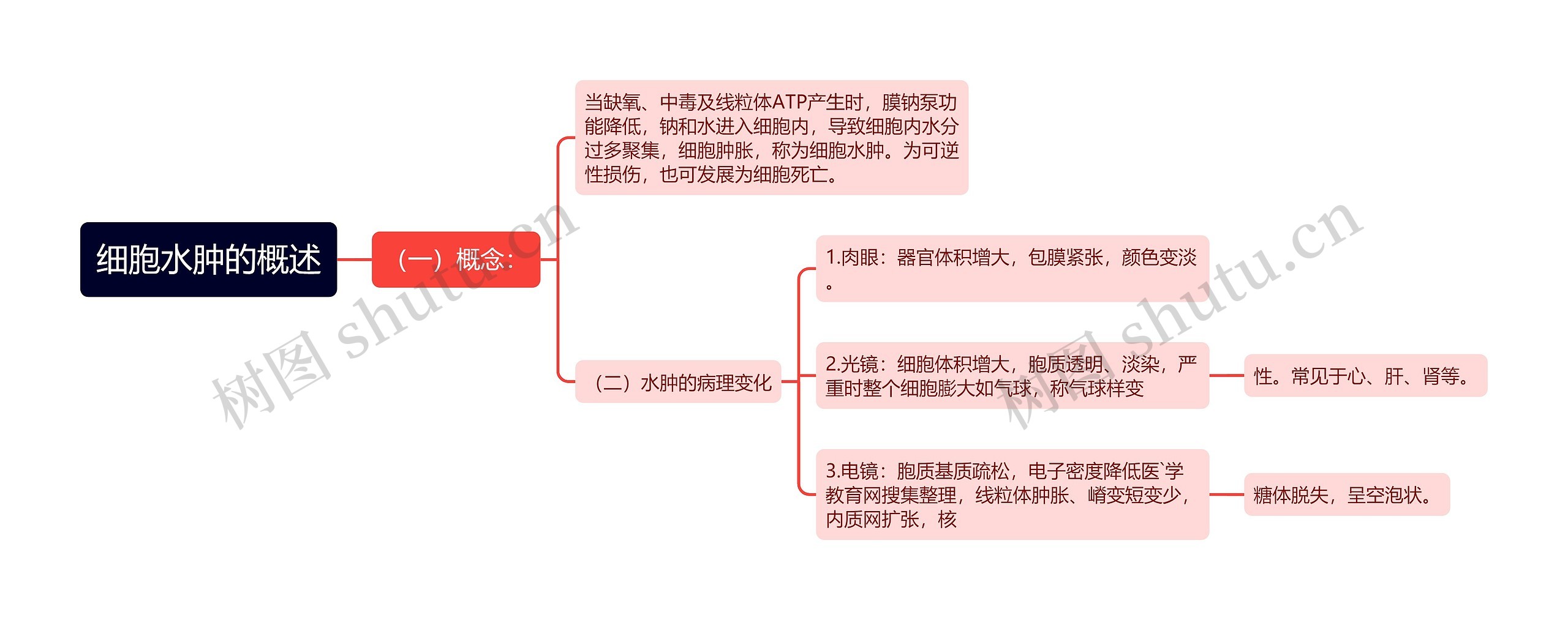 细胞水肿的概述思维导图