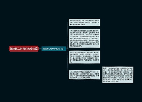 细胞死亡时形态改变介绍