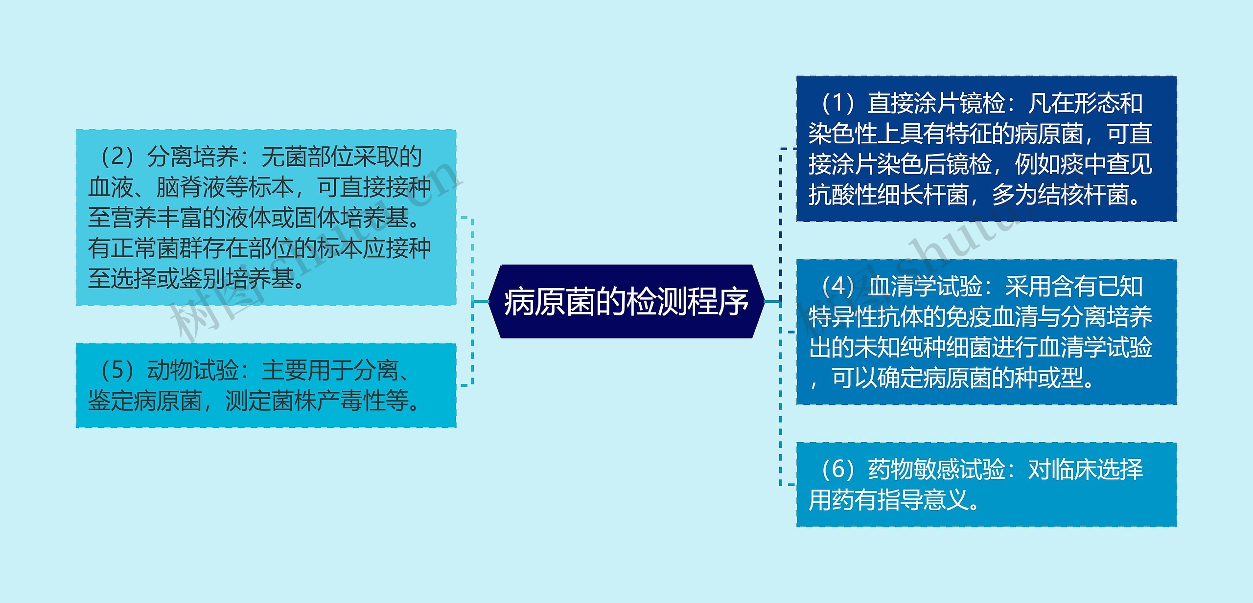 病原菌的检测程序思维导图