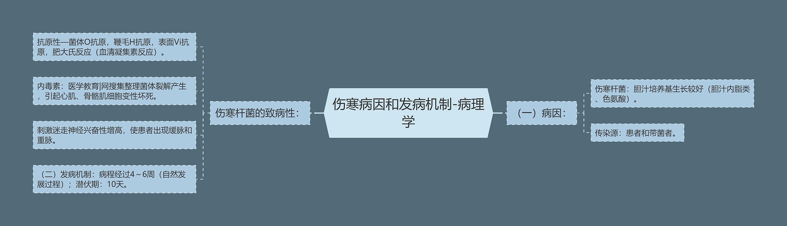 伤寒病因和发病机制-病理学 伤寒病因和发病机制-病理学
