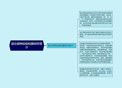 副交感神经结构|解剖学简介