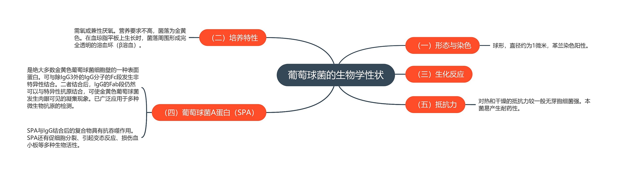 葡萄球菌的生物学性状思维导图