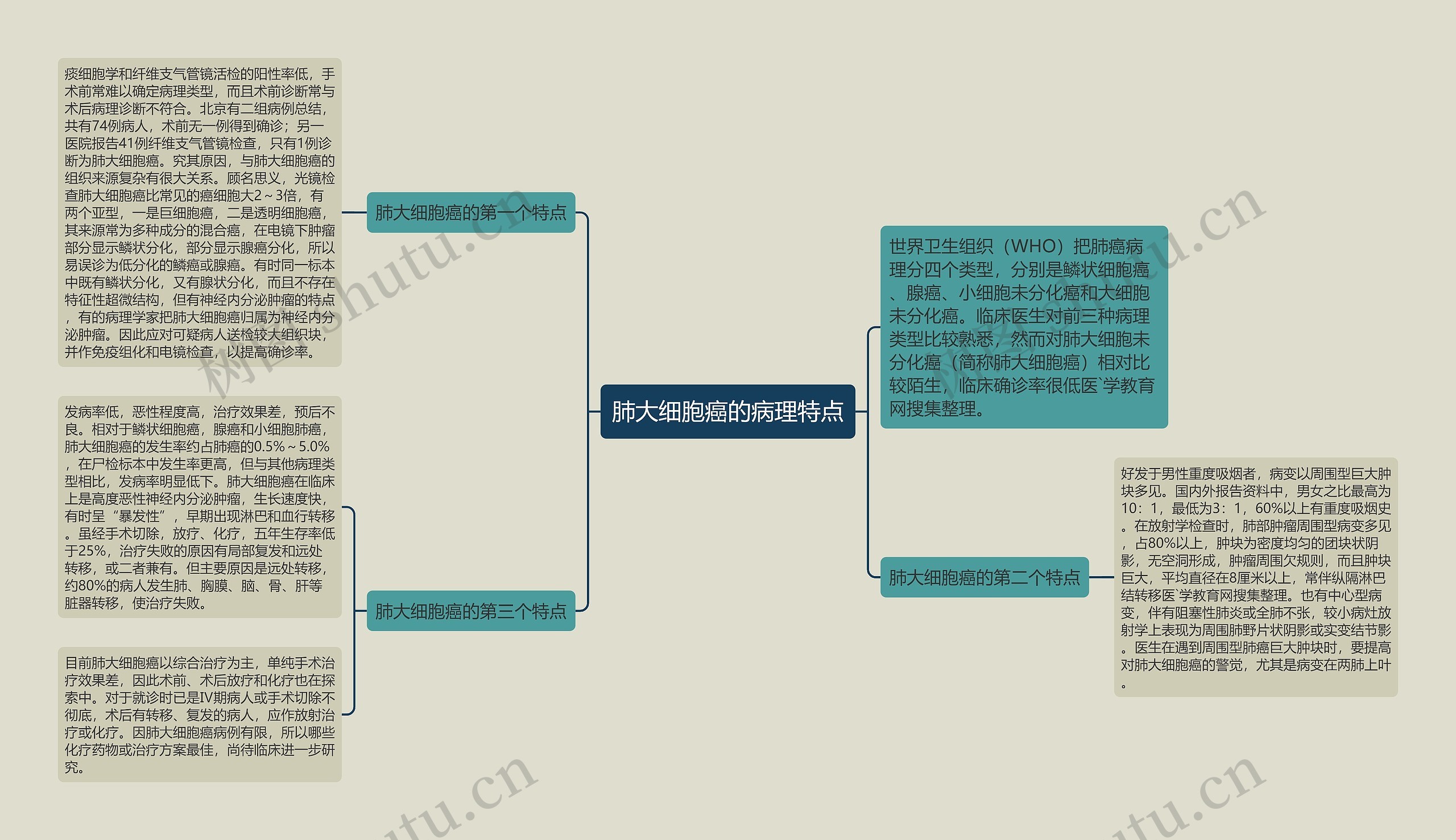 肺大细胞癌的病理特点 肺大细胞癌的病理特点