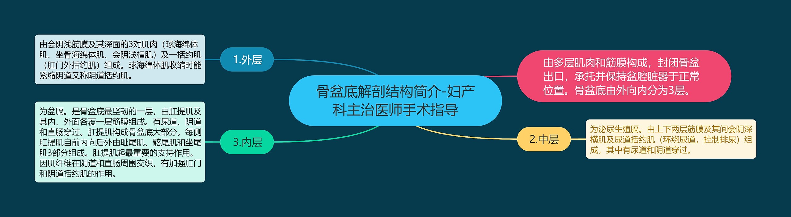 骨盆底解剖结构简介-妇产科主治医师手术指导 骨盆底解剖结构简介-妇产科主治医师手术指导