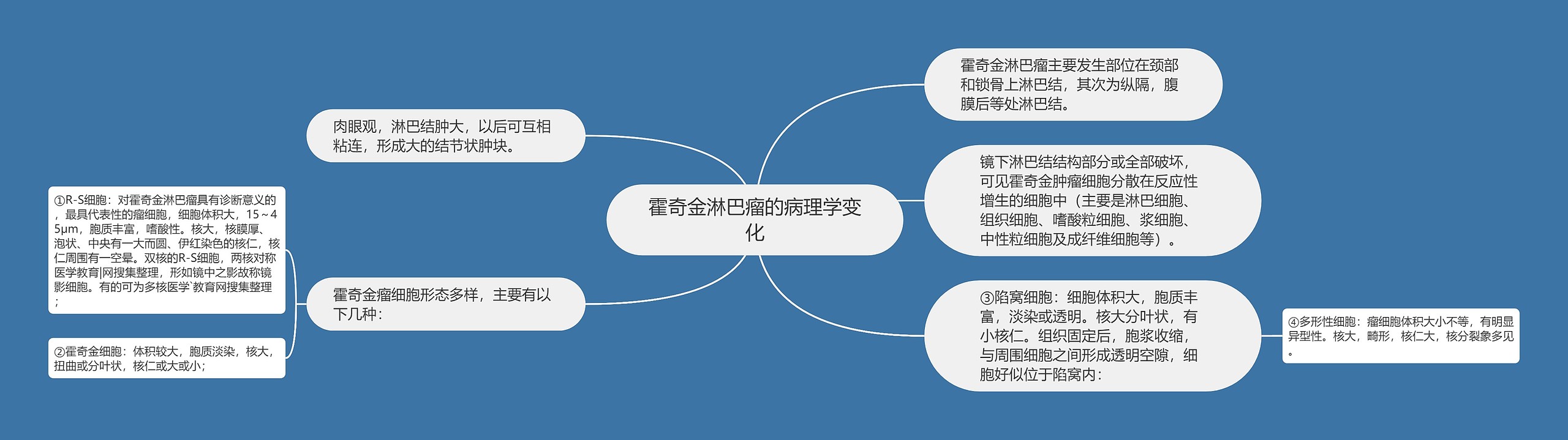 霍奇金淋巴瘤的病理学变化思维导图