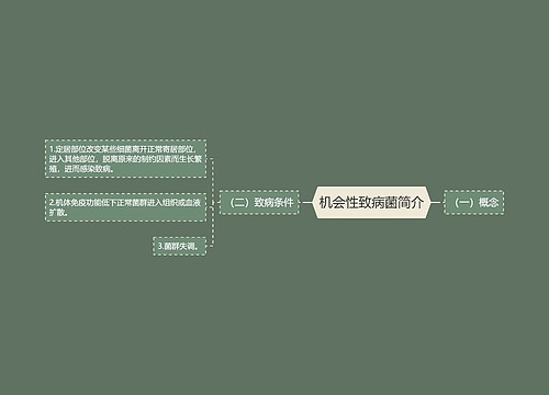 机会性致病菌简介