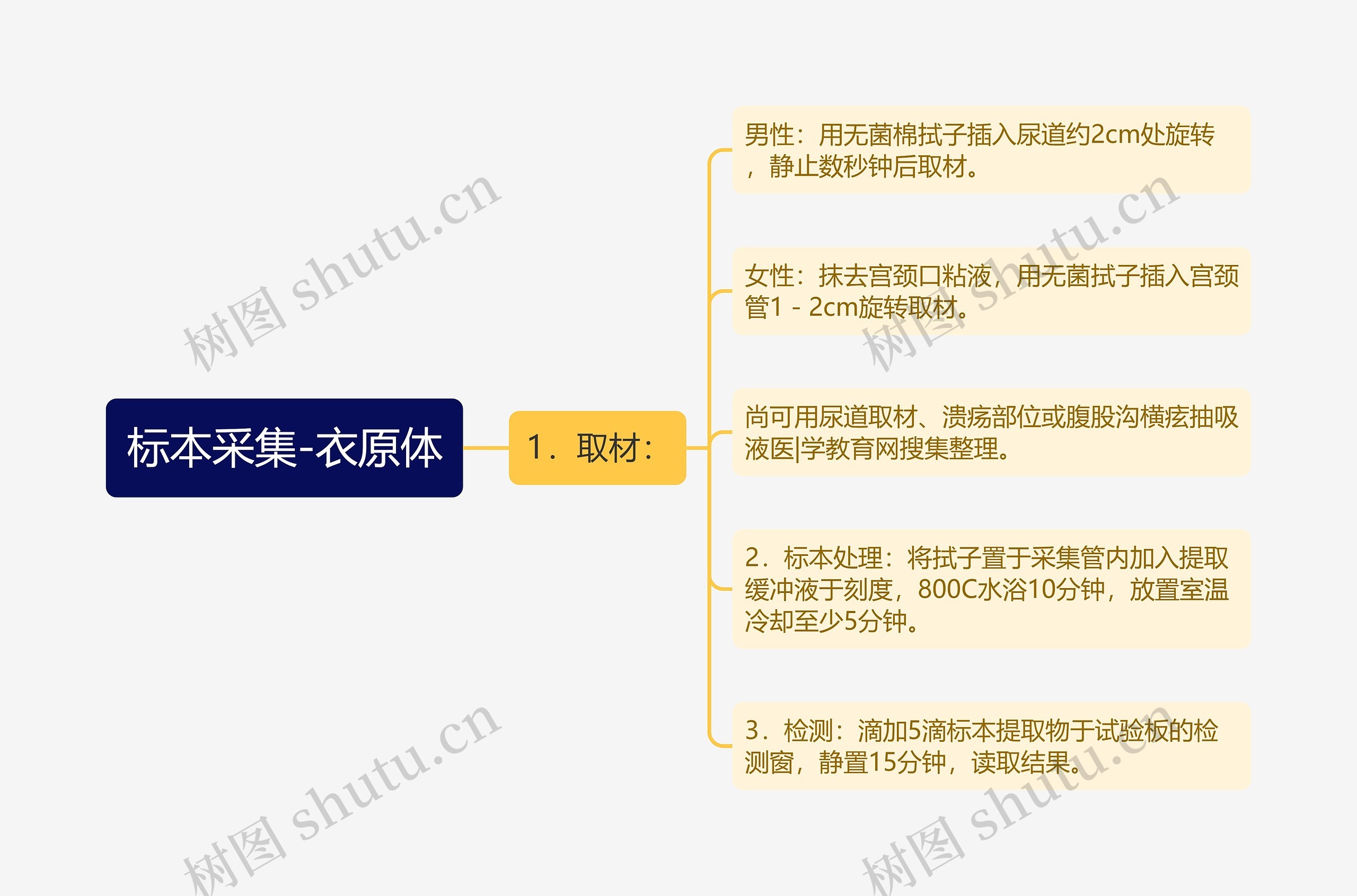 标本采集-衣原体思维导图