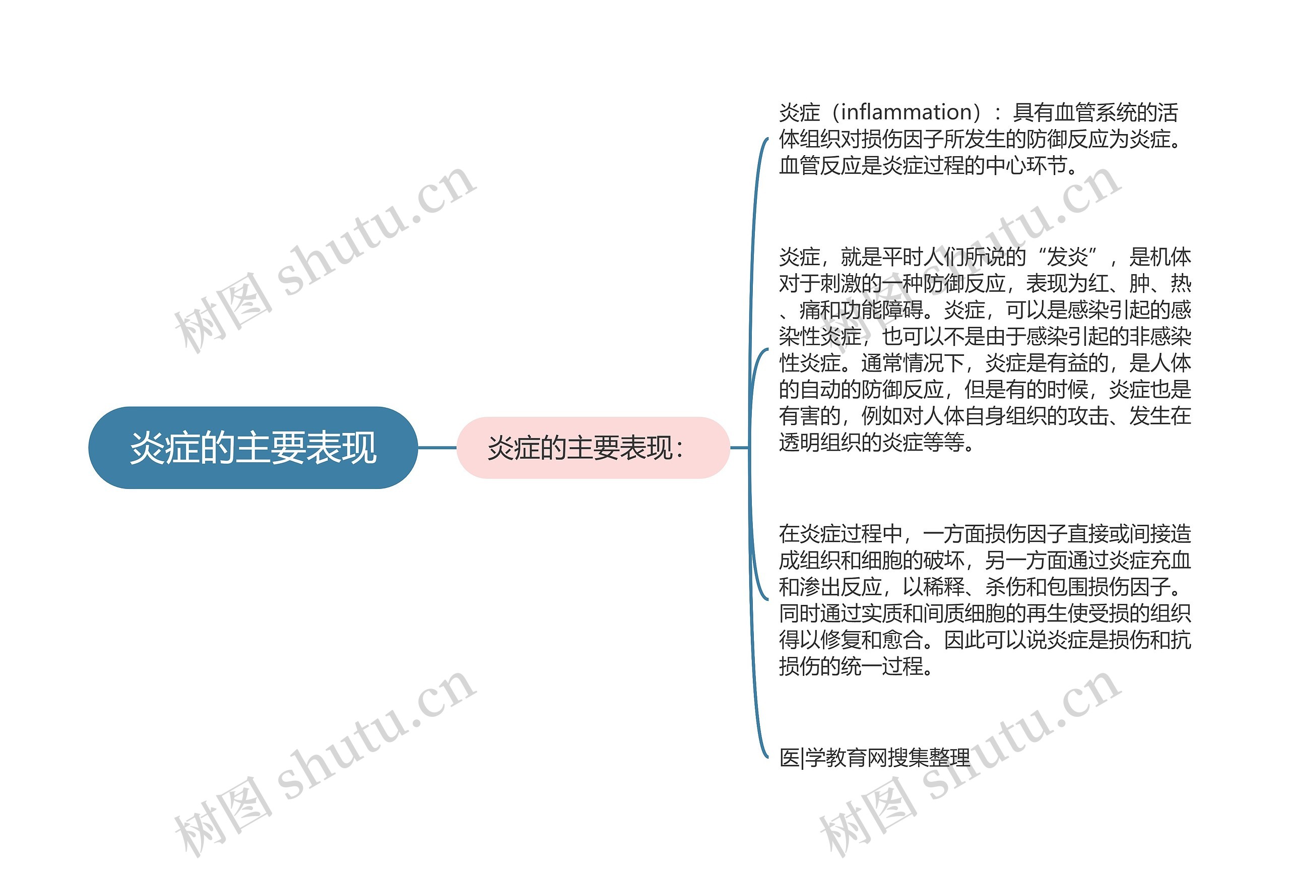 炎症的主要表现思维导图