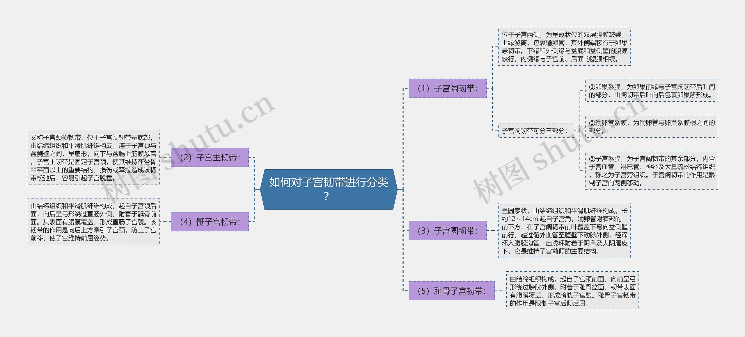 如何对子宫韧带进行分类？