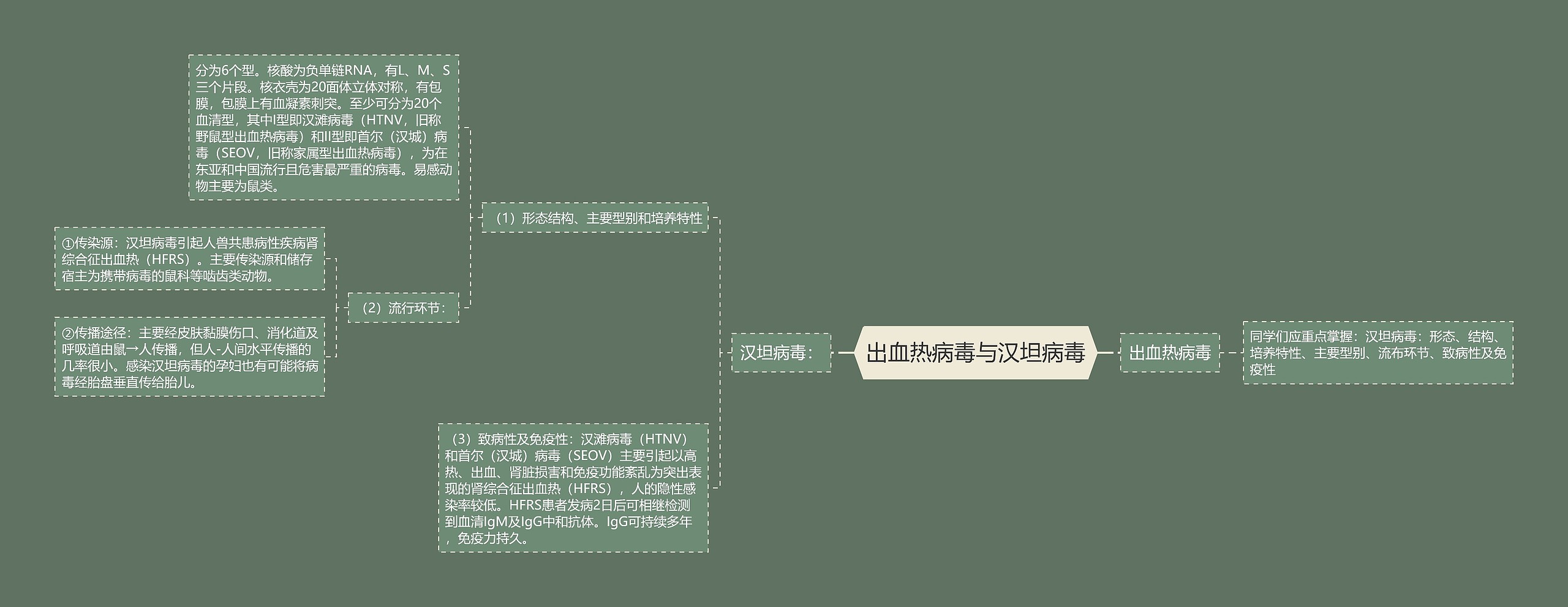 出血热病毒与汉坦病毒