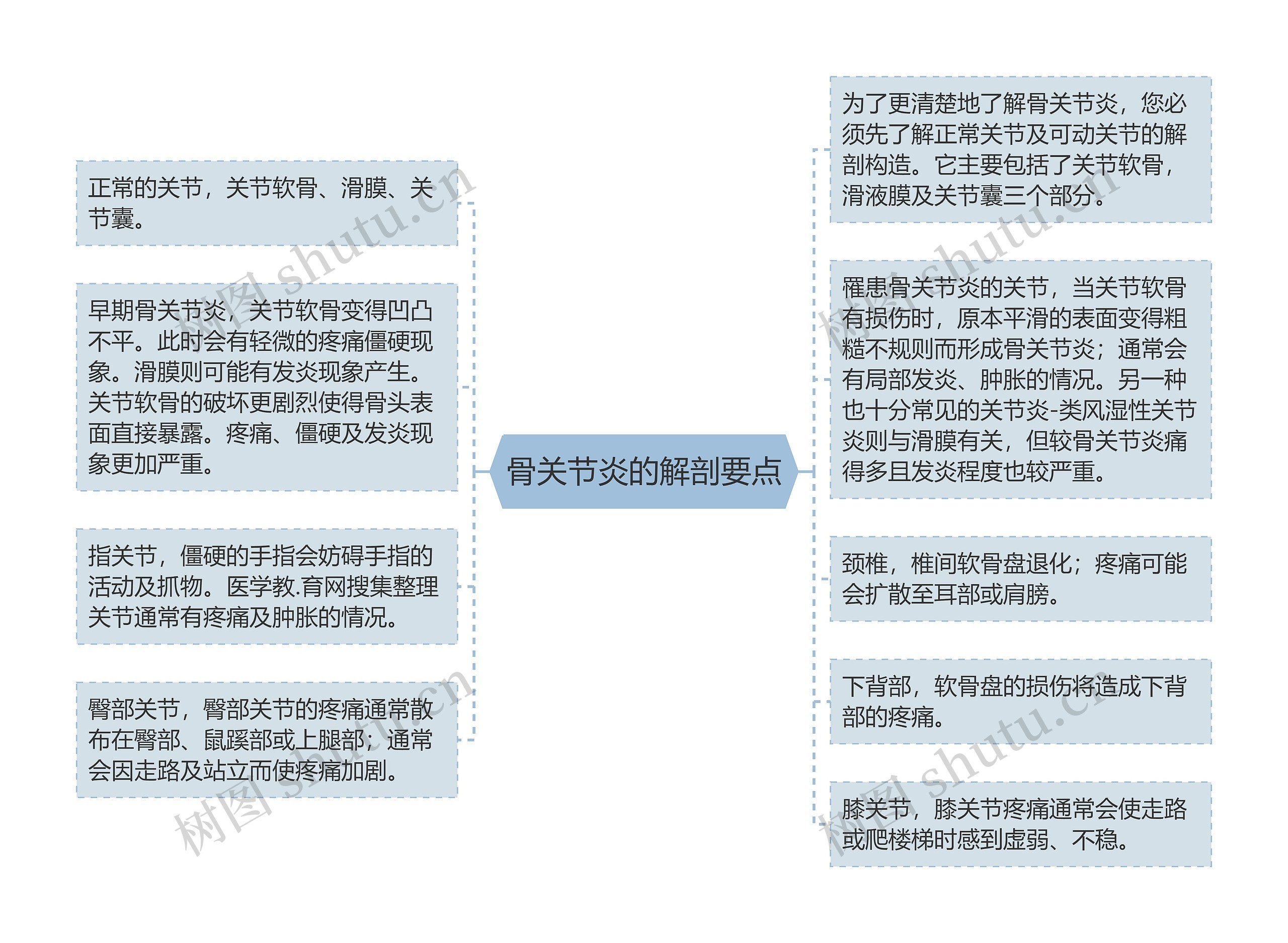 骨关节炎的解剖要点思维导图