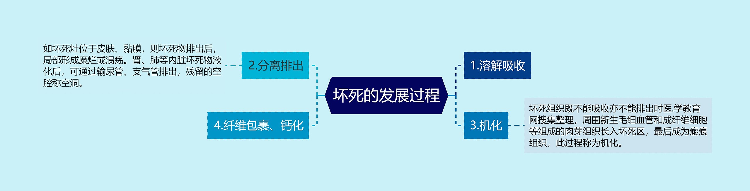 坏死的发展过程