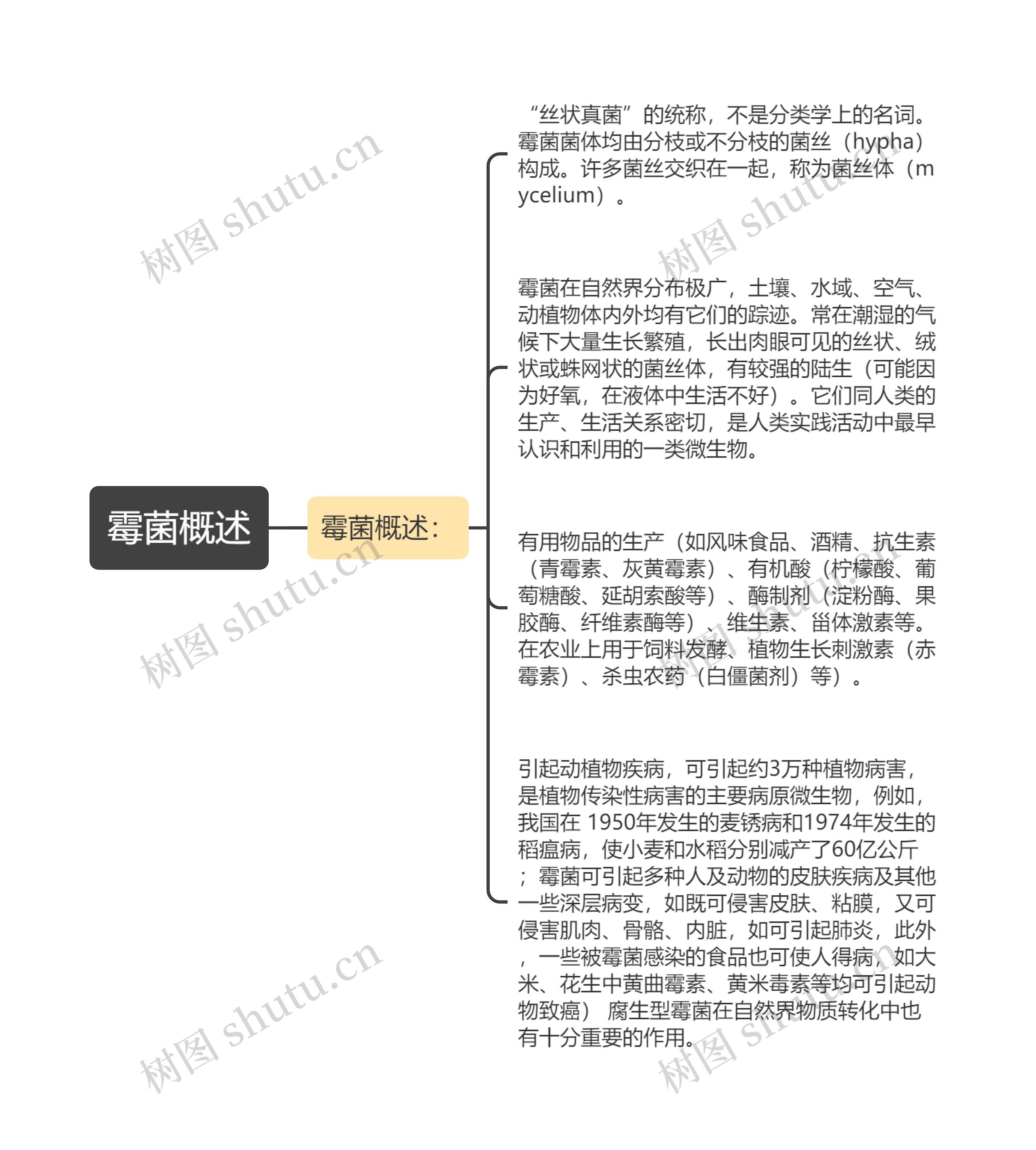 霉菌概述思维导图