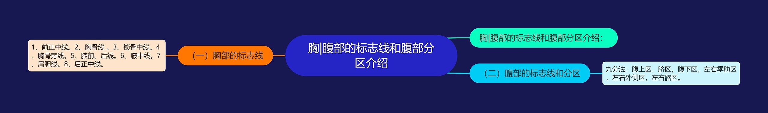 胸|腹部的标志线和腹部分区介绍