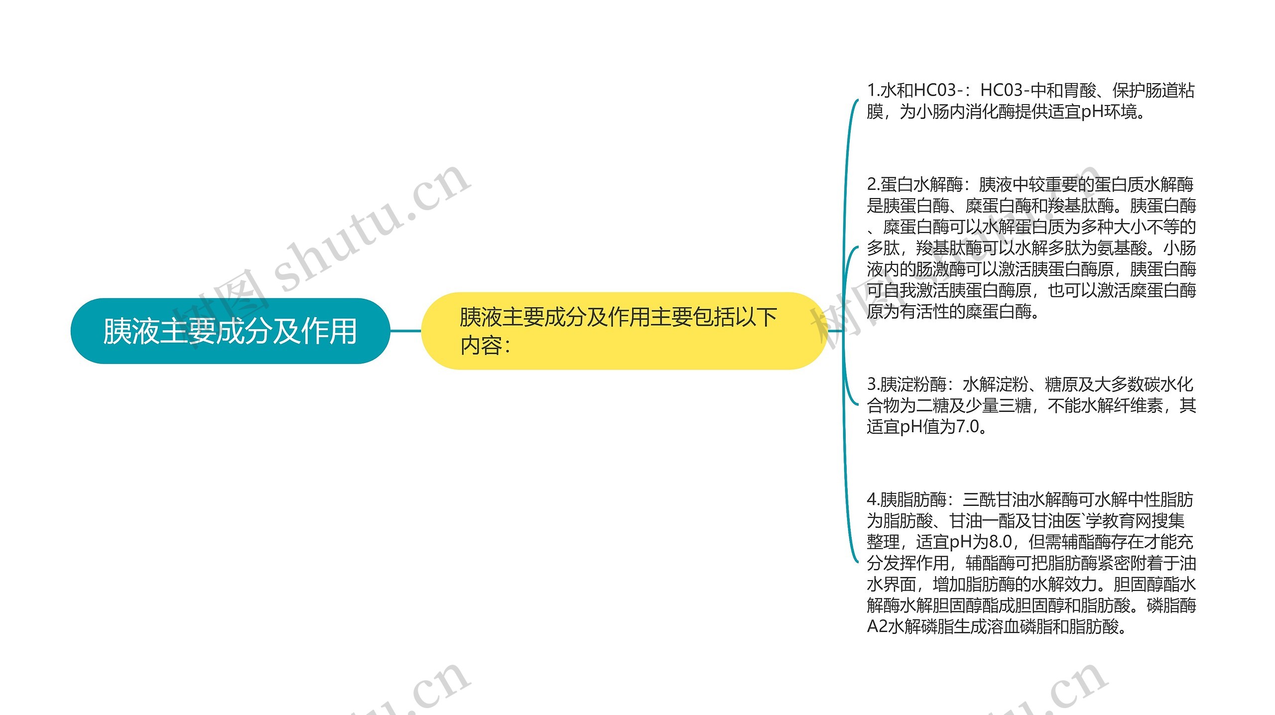 胰液主要成分及作用