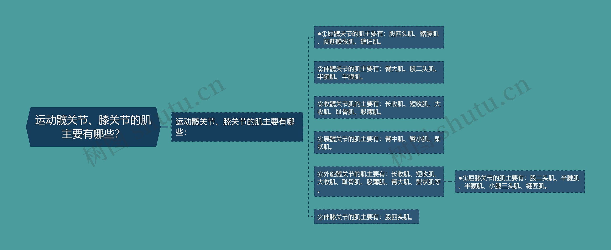 运动髋关节、膝关节的肌主要有哪些? 运动髋关节、膝关节的肌主要有哪些?