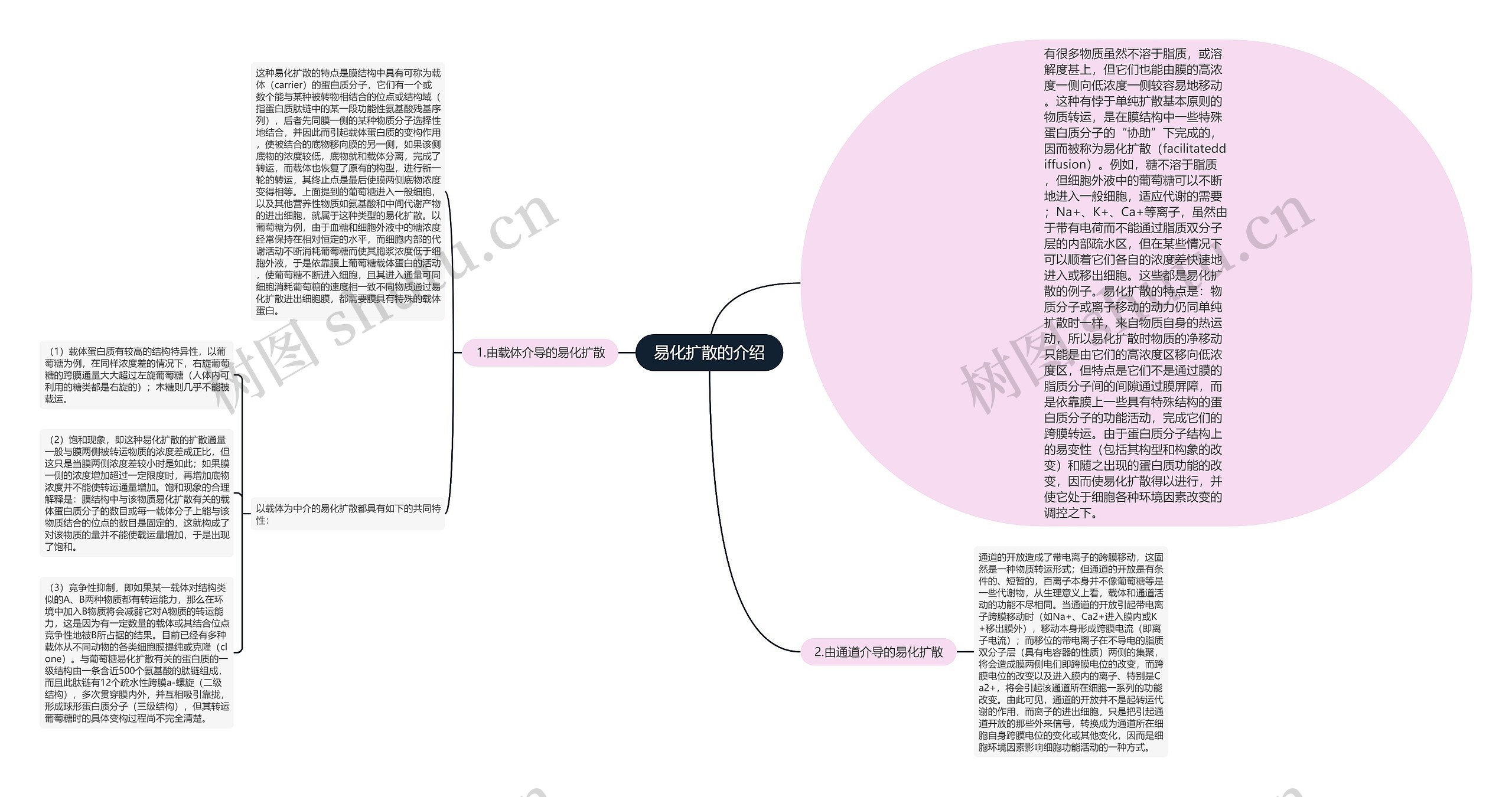 易化扩散的介绍