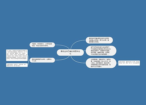 霍奇金淋巴瘤的病理学变化