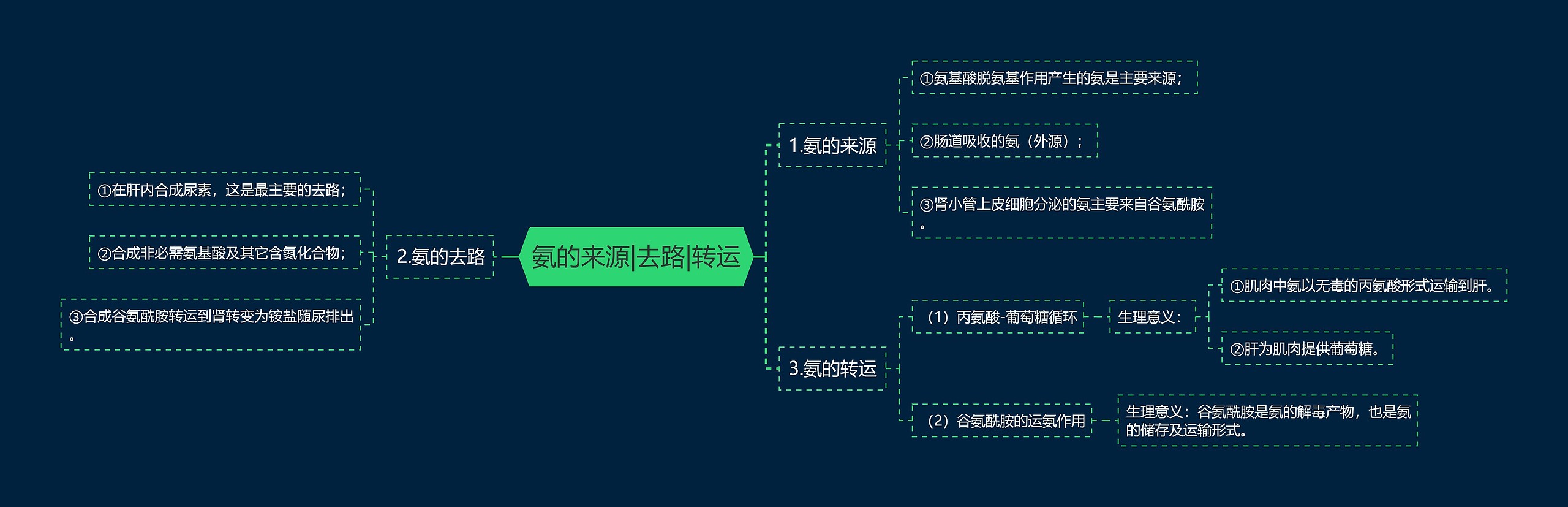 氨的来源|去路|转运思维导图