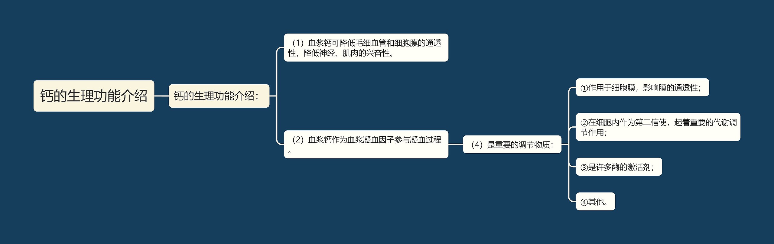 钙的生理功能介绍