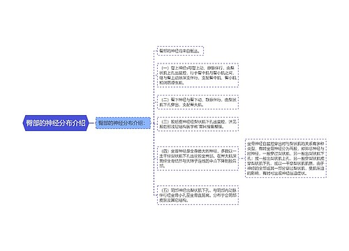 臀部的神经分布介绍