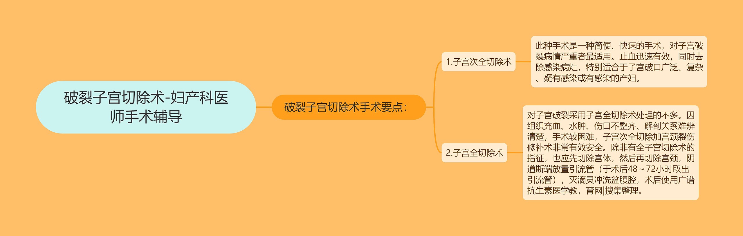 破裂子宫切除术-妇产科医师手术辅导 破裂子宫切除术-妇产科医师手术辅导
