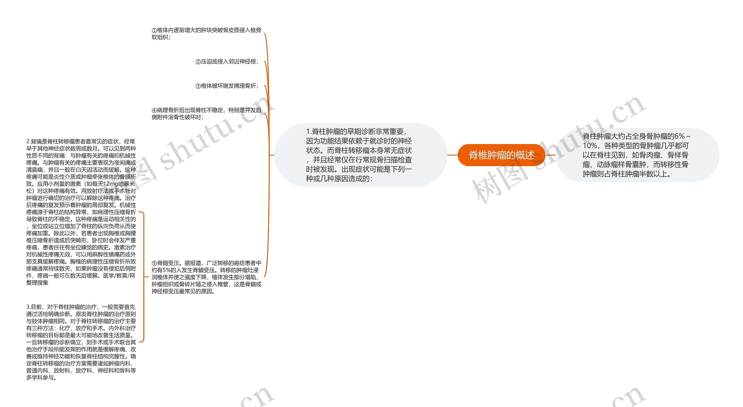 脊椎肿瘤的概述思维导图