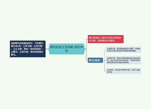 鞭毛的定义及功能-微生物学