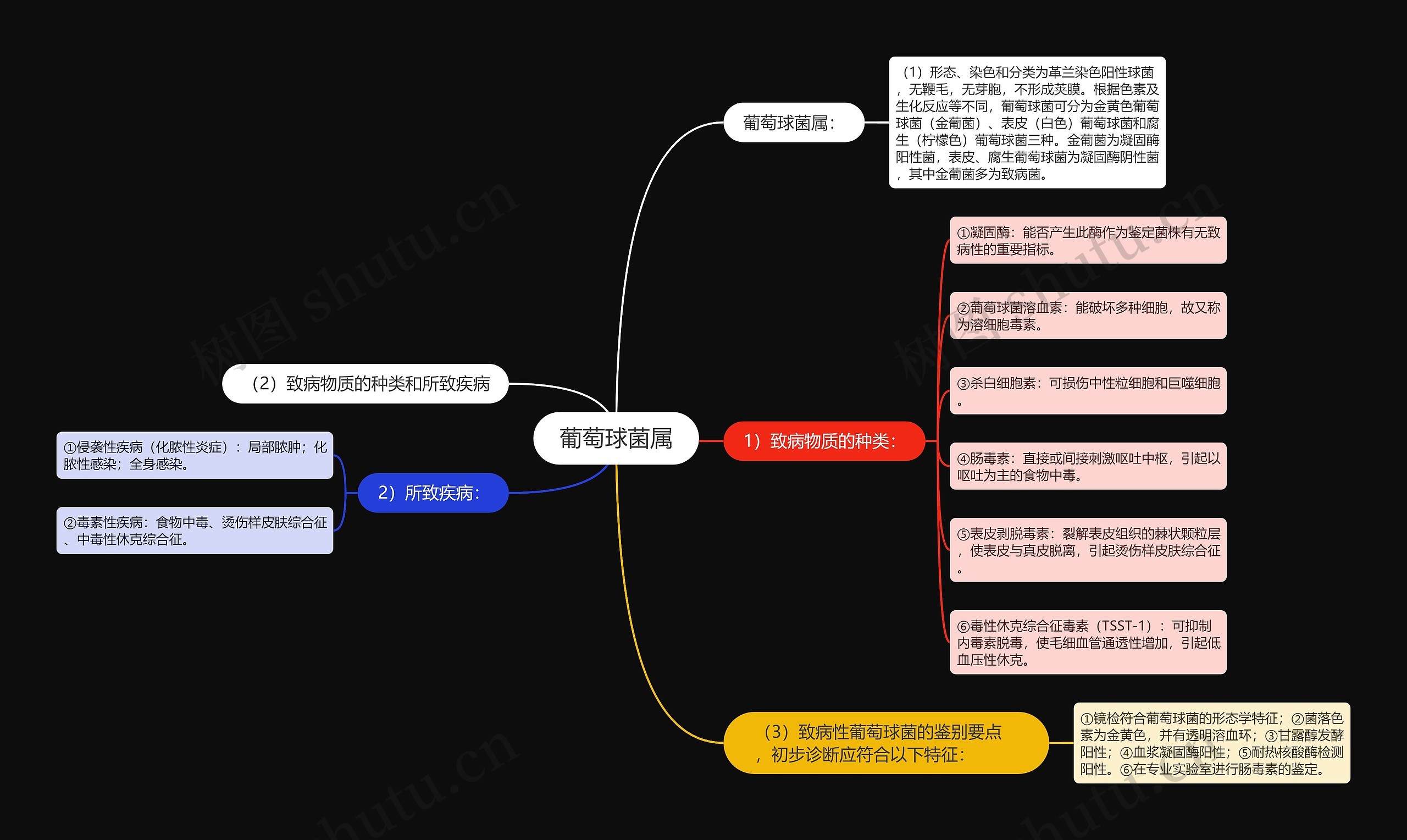 葡萄球菌属思维导图