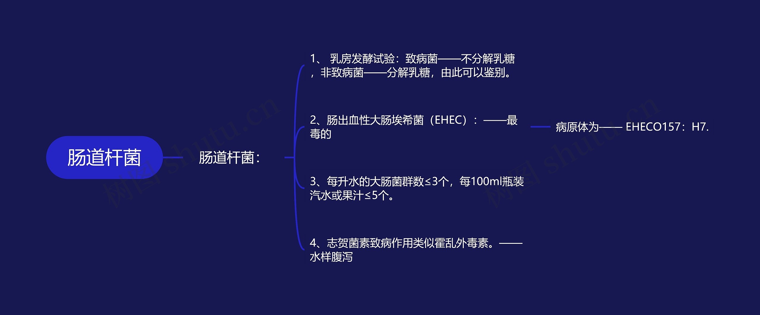 肠道杆菌思维导图