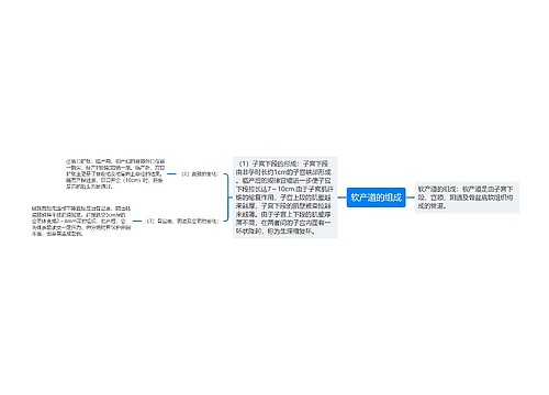 软产道的组成