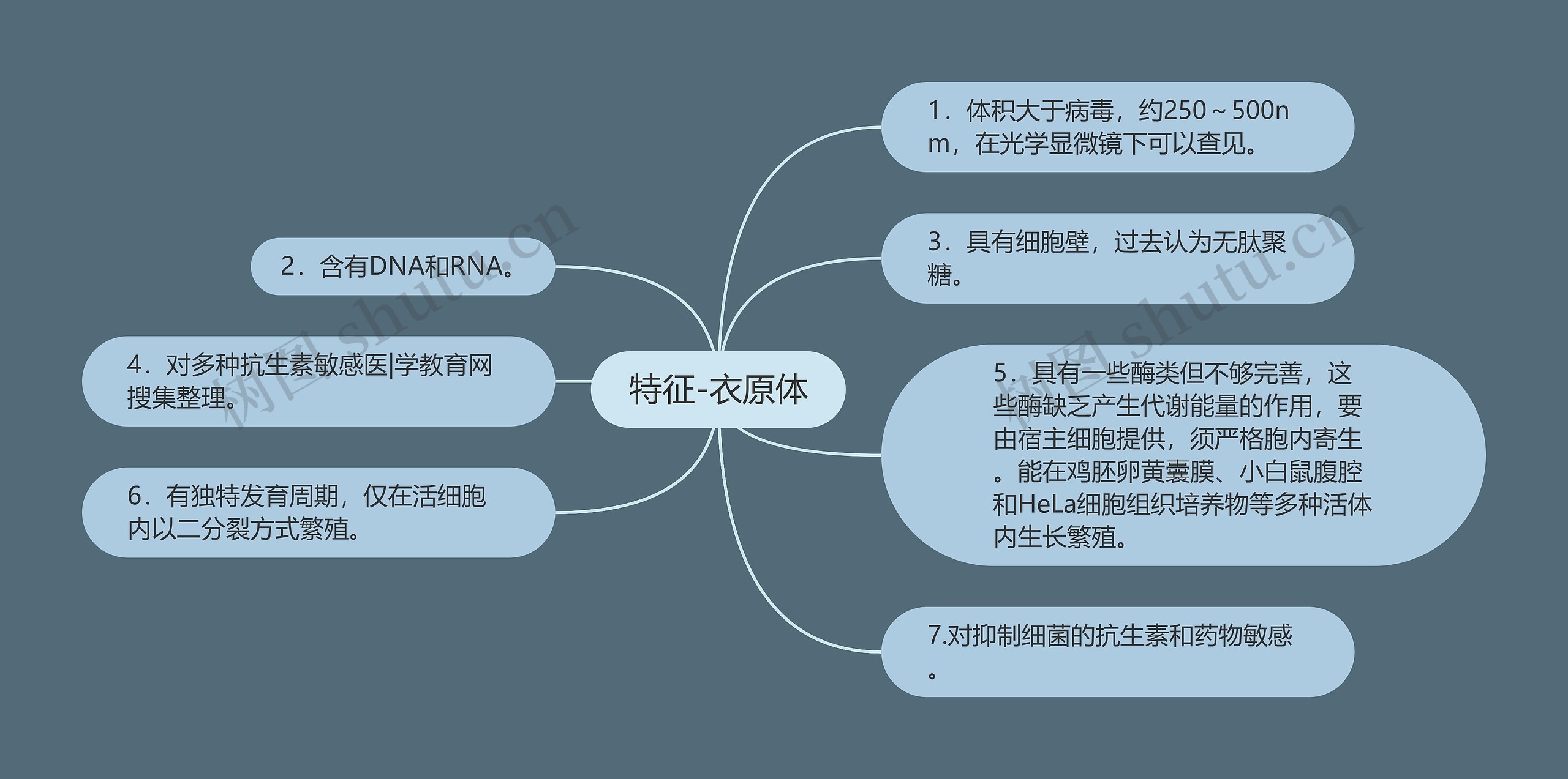 特征-衣原体思维导图