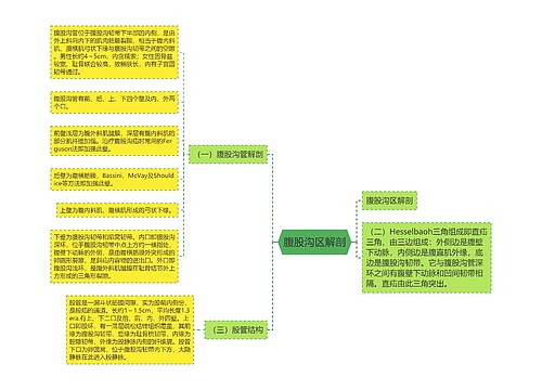 腹股沟区解剖