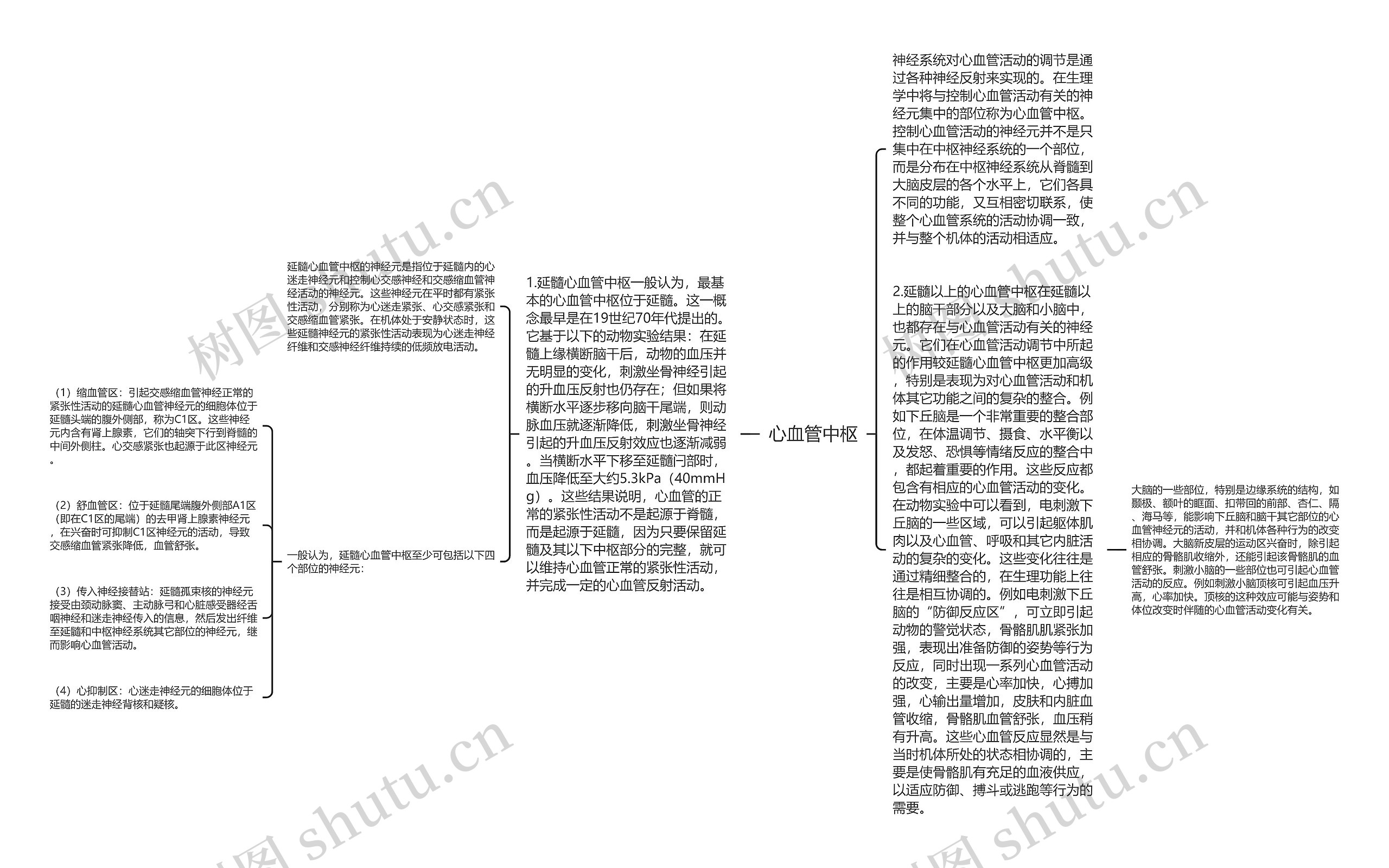 心血管中枢思维导图